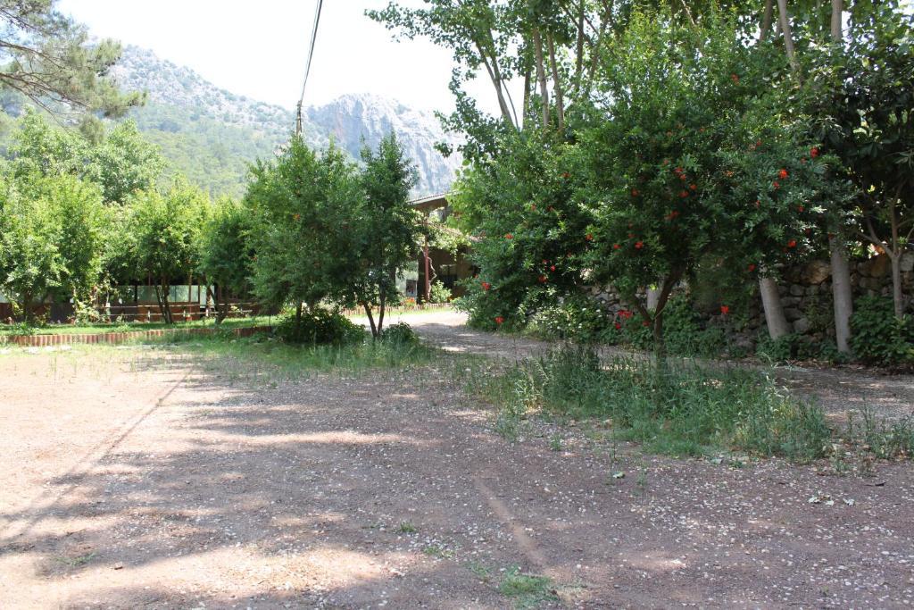 Olympos Camlik Pension Exterior photo