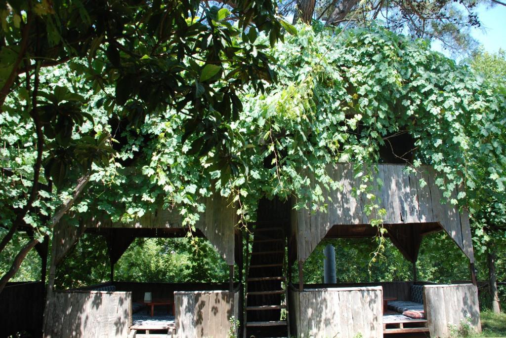 Olympos Camlik Pension Exterior photo